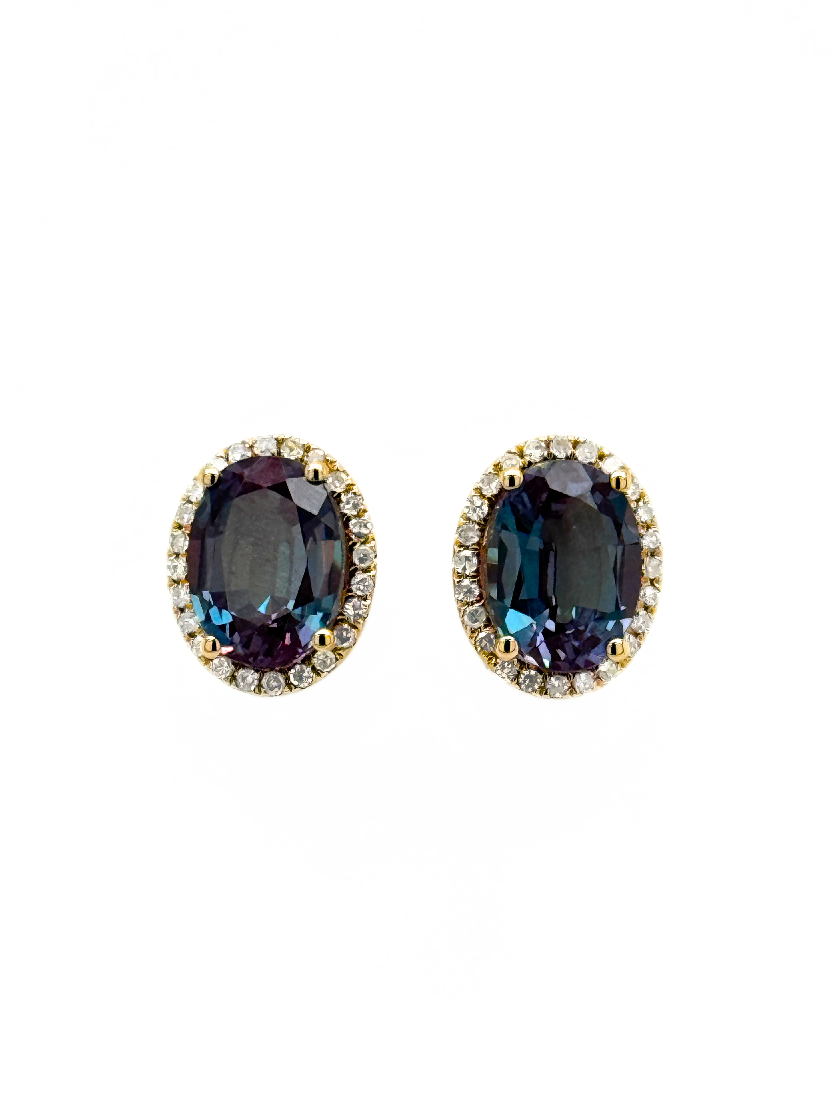 ALEXANDRITE STUD EARRINGS-EHALO8X6